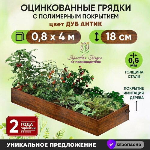 ���� ������ ������������ 