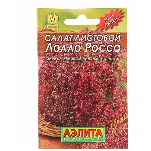 ���� ������ ����� ����� ����� �������� 0,5 ��., ������ �� 239 ���