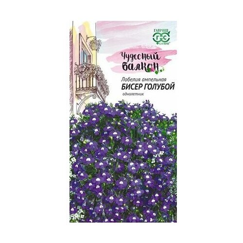 ���� ������ ������� ������ ����� ������� ��������� 0,05 �, ������ �� 42 ���