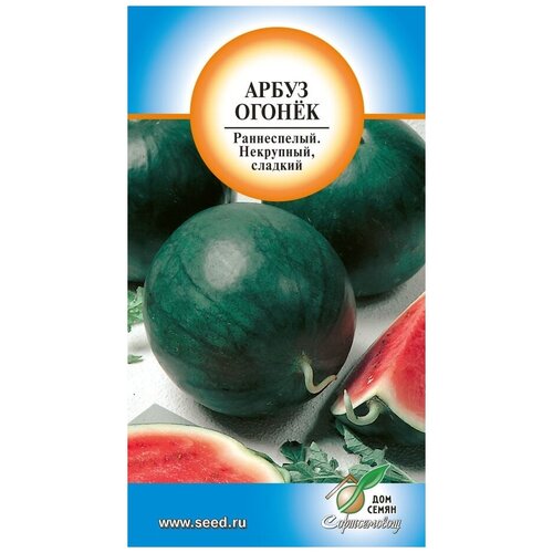 ���� ����� ������, 10 �����, ������ �� 235 ���