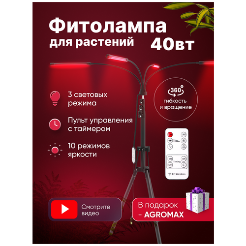 ���� ��������� ������� ������� ��� ���, ������������, �� �������, 4 �����, �������� ��� ������� � ��������� ��������, ������ �� 2300 ���