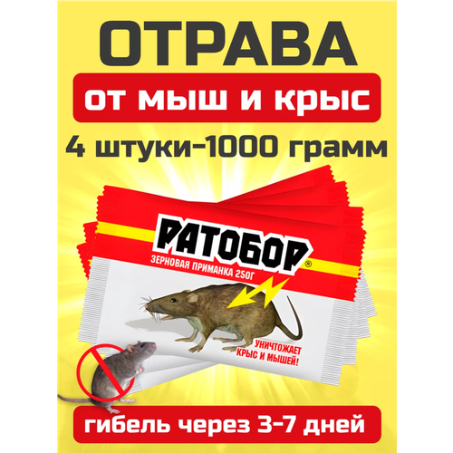 ���� ������ ��� �������� � ����������, �������� ������ ���� � �����, 1 ��, ������ �� 564 ���