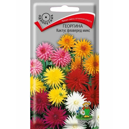 ���� �������� 