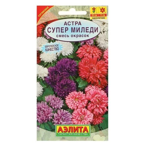 ���� ������. ����� 