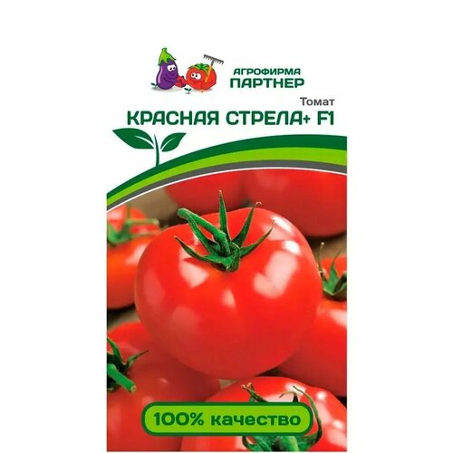 ���� ������ ������ 