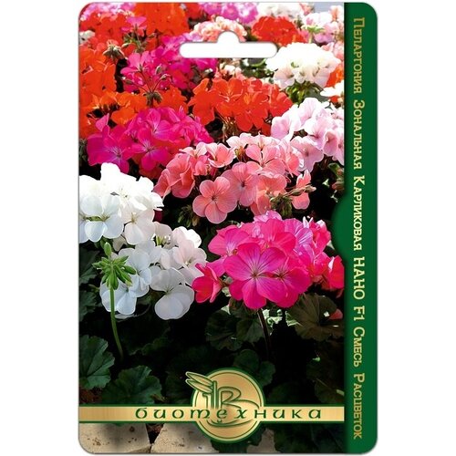 ���� ������ ���������� ��������� ���������� 