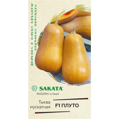 ���� ������ ����� ����� ��������� 3�� ������ (������) ������ �22, ������ �� 113 ���