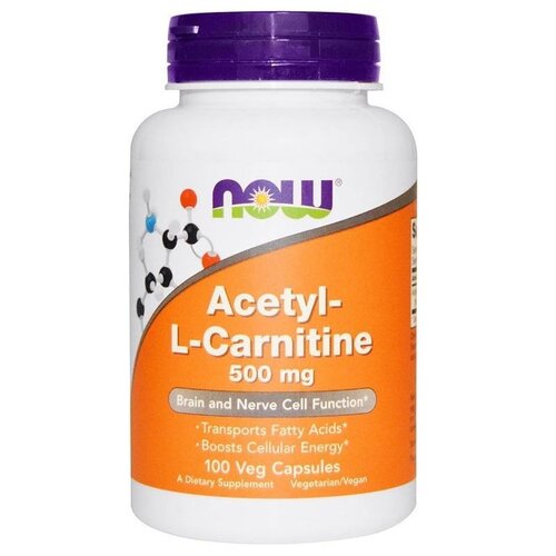  Acetyl-L Carnitine ., 500 , 200 , 100 , 100 .   -     , -, 