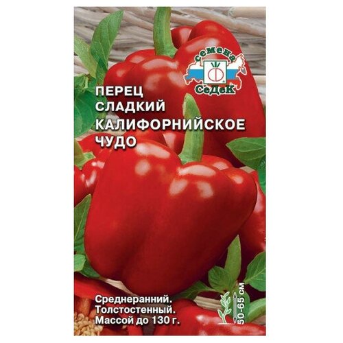 ���� ����� ������� �������������� ����, ������ �� 37 ���