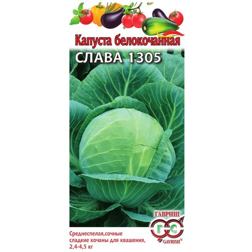 ���� ������ ������ ������� ������������ ����� 1305 0,5 �, ������ �� 43 ���