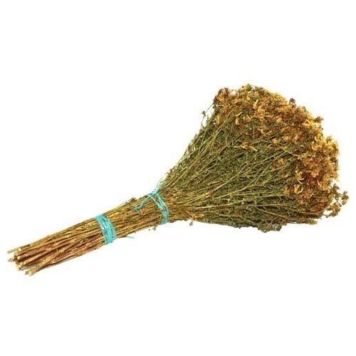 ���� ����� �������� �� ��������, ������ �� 425 ���