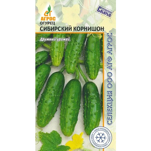 ���� ������ ������ ��������� �������� 10�� �� (�����), ������ �� 63 ���