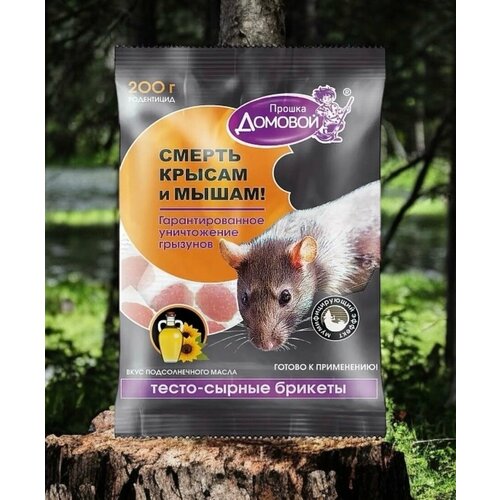 ���� �����-������ ������� �� ���� � ����� 200�. ���� ������������ �����., ������ �� 174 ���