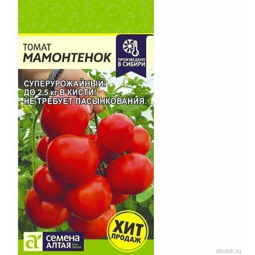 ���� ����� ���������� 5�� ������ �����, ������ �� 87 ���