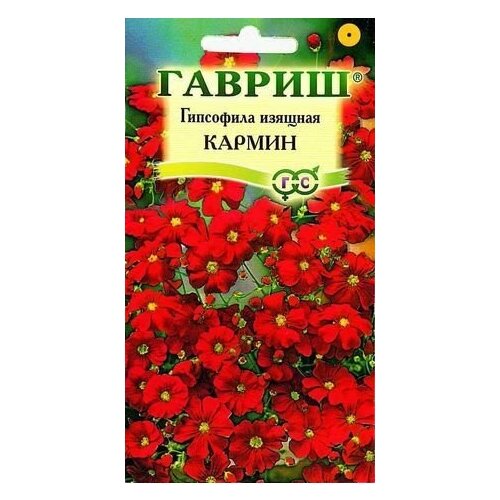 ���� ��������� ������� ������, ������ �� 38 ���