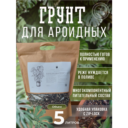 ���� ����� 