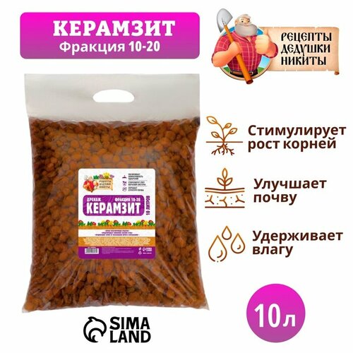 ���� ������ �������� 