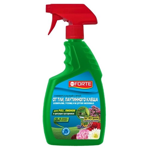 ���� ����� Bona Forte �� ���, ���������� ����� � ������ 50 ����� �����, ��. 750 ��/ 8, ������ �� 770 ���