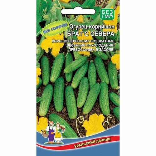 ���� ������ ������ ���� � ������ �������� ��. (�����������) 12��, ������ �� 41 ���