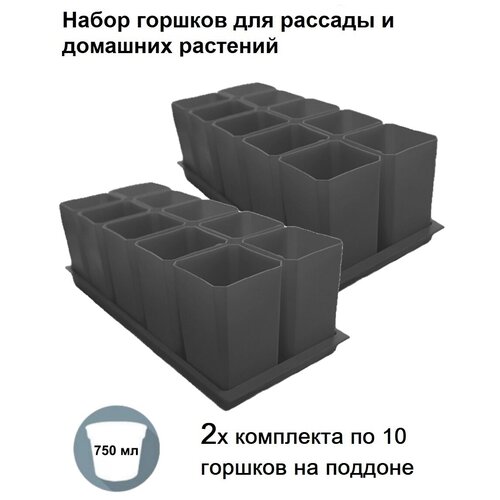 ���� ������ ��� ������� � ������, �������� �� 2-�� ������� �� 10 ������� �� ����� �������� (20 ������� � 2 �������), �����, ������ �� 1652 ���