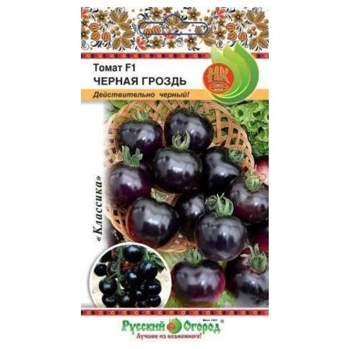 ���� ����� ������ ������ F1, 3 ��������, ������ �� 390 ���