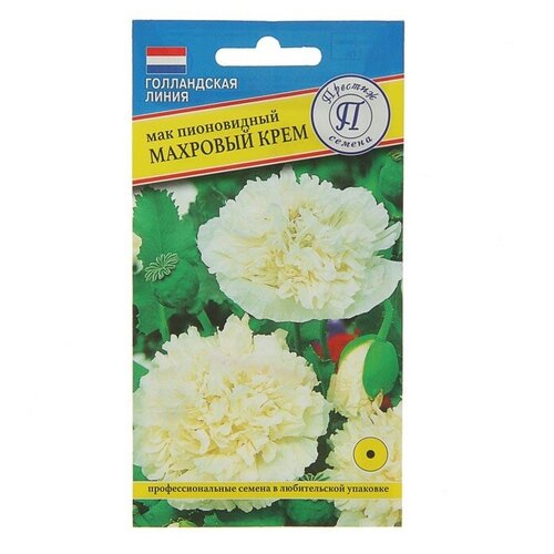 ���� ������ / ������� ������/ ������ ����� ��� ����������� �������� ����, ������ �� 249 ���