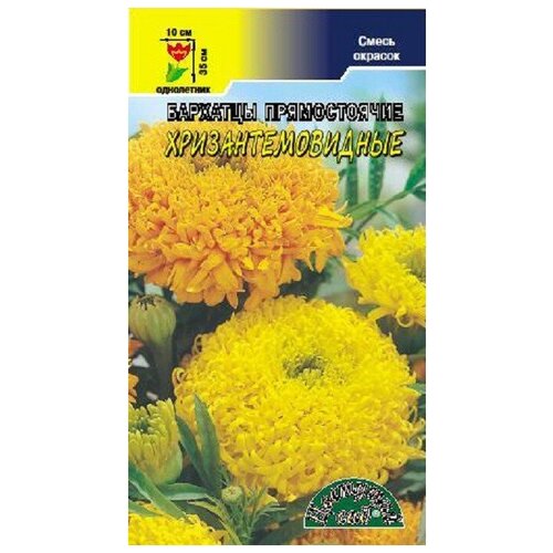 ���� ������ �������� ��� 