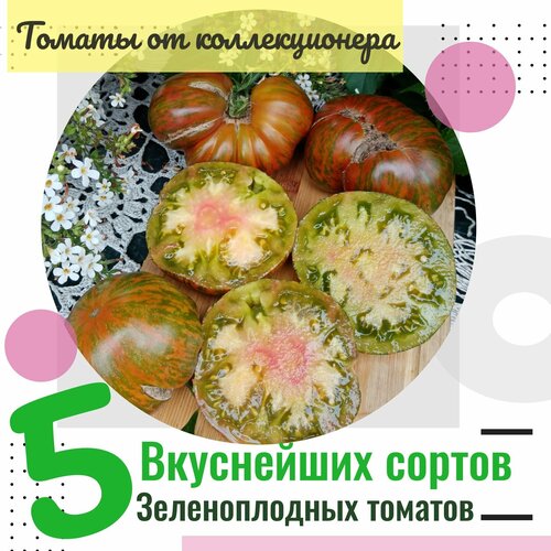 ���� ������ �������, 5 ������ ������������� �������, ������ �� �������������, 50 �����, ������ �� 425 ���