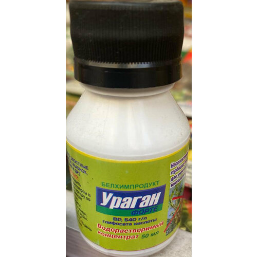 ���� �������� �� �������� ������ ����� BP, 540 �/� ��������� ������� 50 ��. (��������������� ����������), ������ �� 484 ���