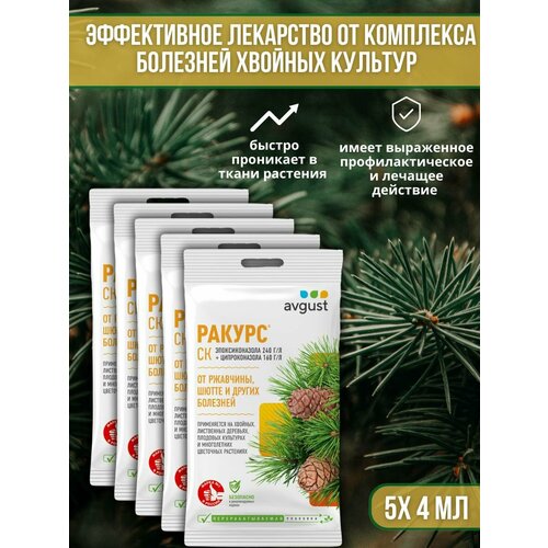 ���� �������� �� �������� ������� ��������, ��������� ��� ������ � �����, ��������� ������ 4 �� 5 ��, ������ �� 869 ���