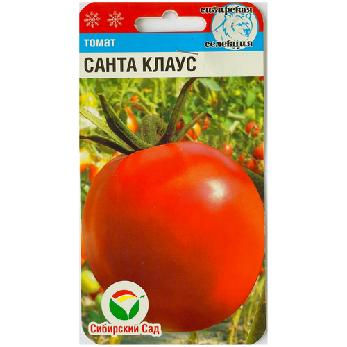 ���� ������ ����� ����� �����,20 �����, ������ �� 47 ���