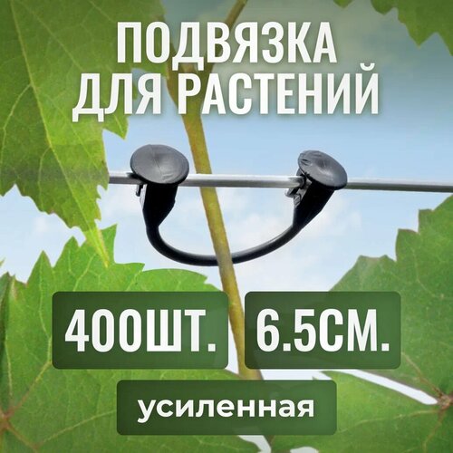 ���� �������� ��� ��������, ��������� ��� ������ �������, ������ ������ �� ��������� 