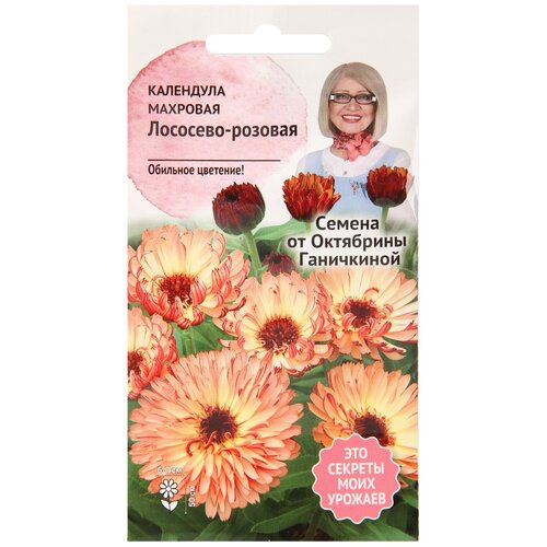 ���� ��������� ��������-������� �������� 0,3 � / ������ ���������� ������ ��� ����, ������ �� 317 ���