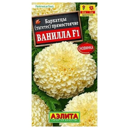 ���� ������. �������� 