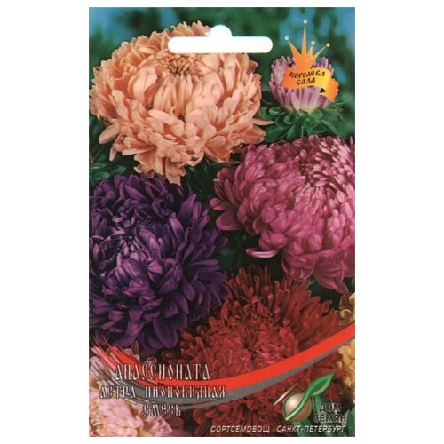 ���� ����� ����������� ����������� �����, 80 �����, ������ �� 238 ���