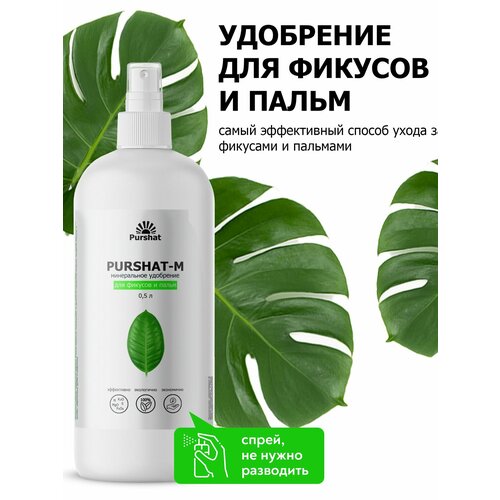 ���� ��������� ��� �������, ����� ����� ������ 500 ��, ������ �� 658 ���