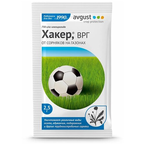 ���� Avgust �������� �� �������� �� ������� ����� (2.5 �), ������ �� 115 ���