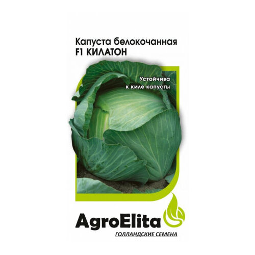 ���� ������ ������� ������������ ������� F1 10�� (���������) ���������, ������ �� 113 ���