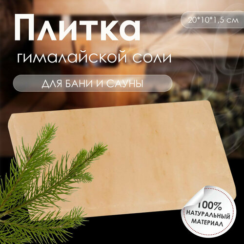 ���� ����������� ����, ������ ����������� 20*10*1,5��, ������ �� 458 ���