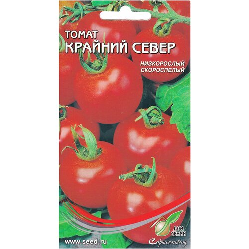 ���� ����� ������� �����, 30 �����, ������ �� 241 ���