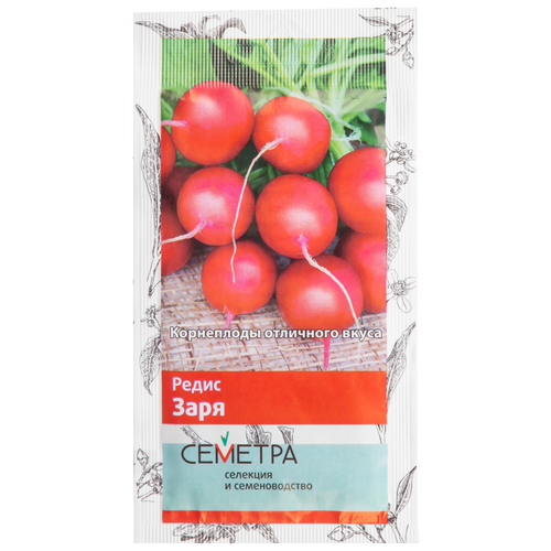 ���� ������ ����� �������, ����� ����, 3�, ������ �� 41 ���