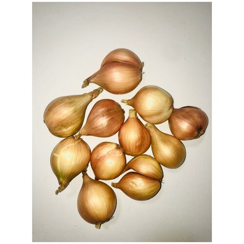 ���� ��� �������� ����� ����� ����������� ����������, ������ �� 690 ���