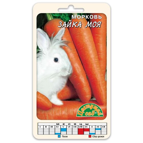 ���� ������ �������� ��� 