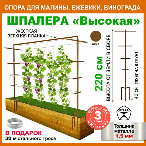 ���� �������, ����� ��� ��������, ������ �� 5700 ���