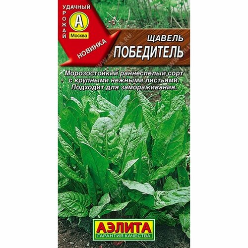 ���� ������ ������ ���������� (������) 0,5�, ������ �� 41 ���