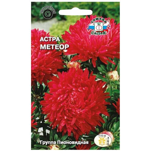 ���� ������ ����� ����� ������, ������ �� 677 ���