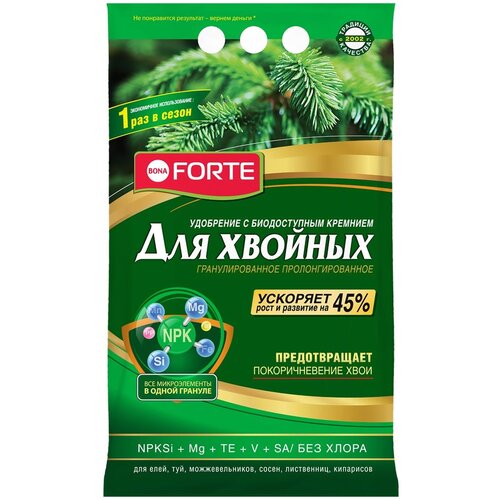   BONA FORTE   , 5 , 5000 , 1 .,   1729 