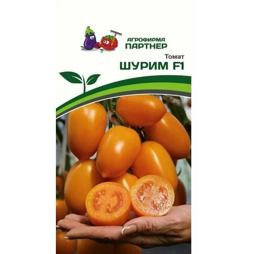 ���� ����� ����� F1 ������ ������� (1 ��������-10 �� �����), ������ �� 330 ���