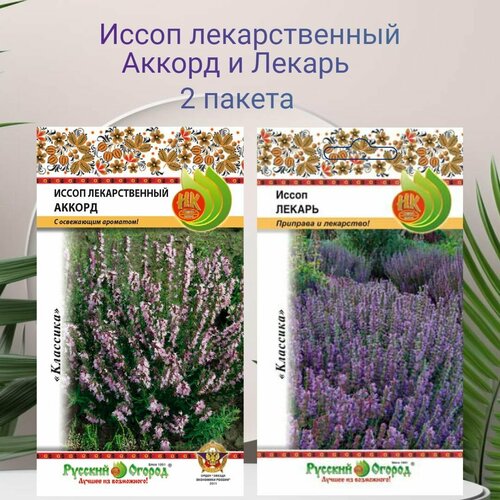 ���� ����� ������������� ������ 0,5� � ������ 0,2� - 2 ������ �����, ������ �� 250 ���