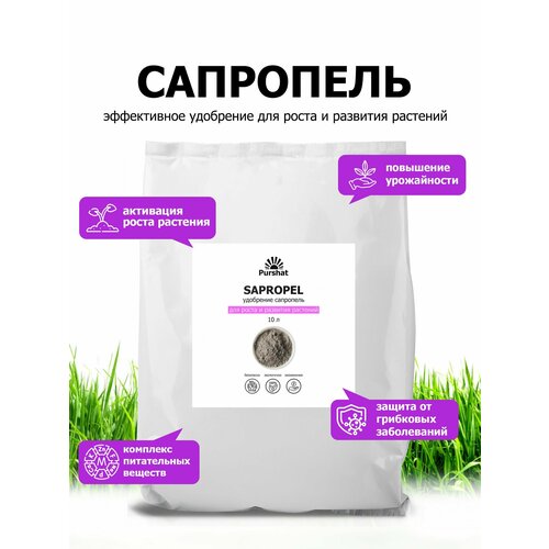 ���� ��������� ����� ������ ��������������� ��� ���������� ���������� ������ � ������. ������������ ���������, ��������������� (Purshat) 10 �, ������ �� 1137 ���